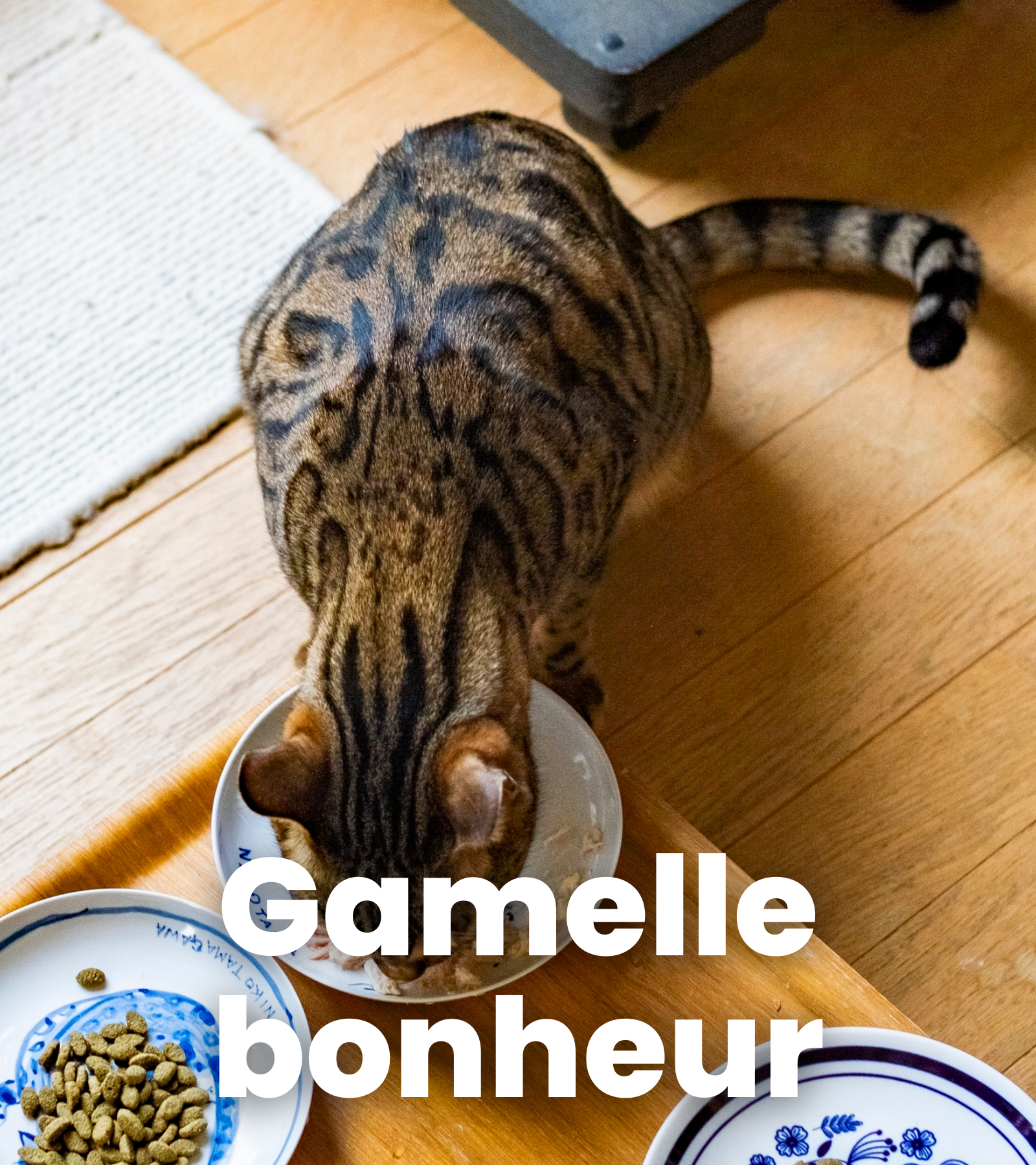 ope fev créa pousse toi